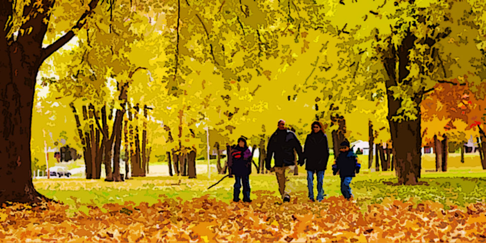 Everything Progressive